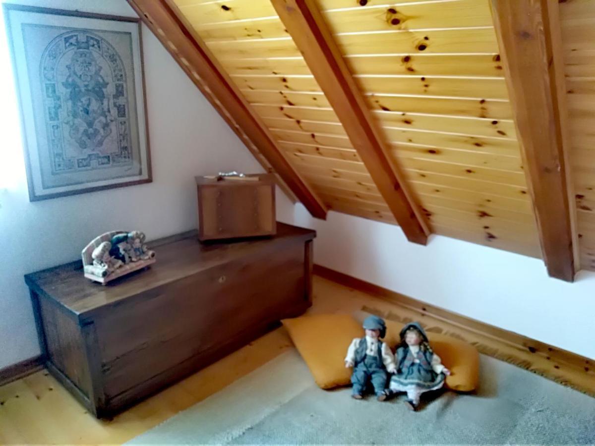 Apartament Cjasa Da Puci Ovaro Zewnętrze zdjęcie