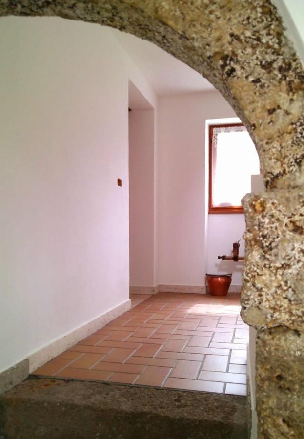 Apartament Cjasa Da Puci Ovaro Zewnętrze zdjęcie