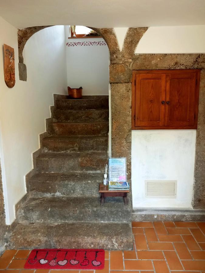 Apartament Cjasa Da Puci Ovaro Zewnętrze zdjęcie