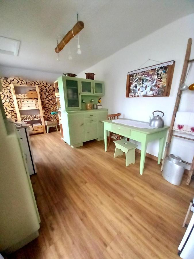 Apartament Cjasa Da Puci Ovaro Zewnętrze zdjęcie